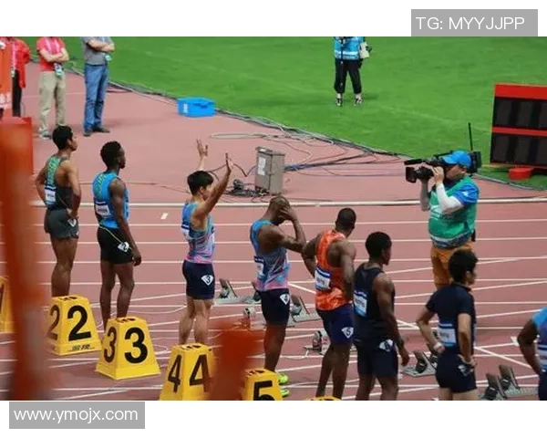 西安排球队在钻石联赛积分榜上以73分稳居第一名引发关注